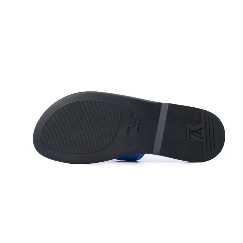 LOUIS VUITTON Oasis Blue Leather Surface