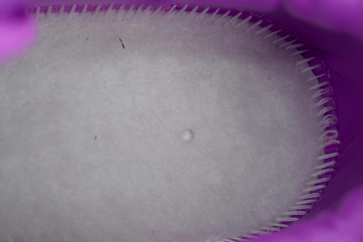 PK God Batch Nike Air Force 1 Low Cactus Plant Flea Market Premium 'Fuchsia Dream' FQ7069-500