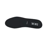 Dior B01 Matchpoint Sneaker 'White And Black Print'