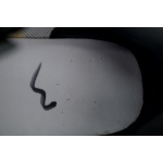 Maison Margiela Replica Black S57WS0236P1897900