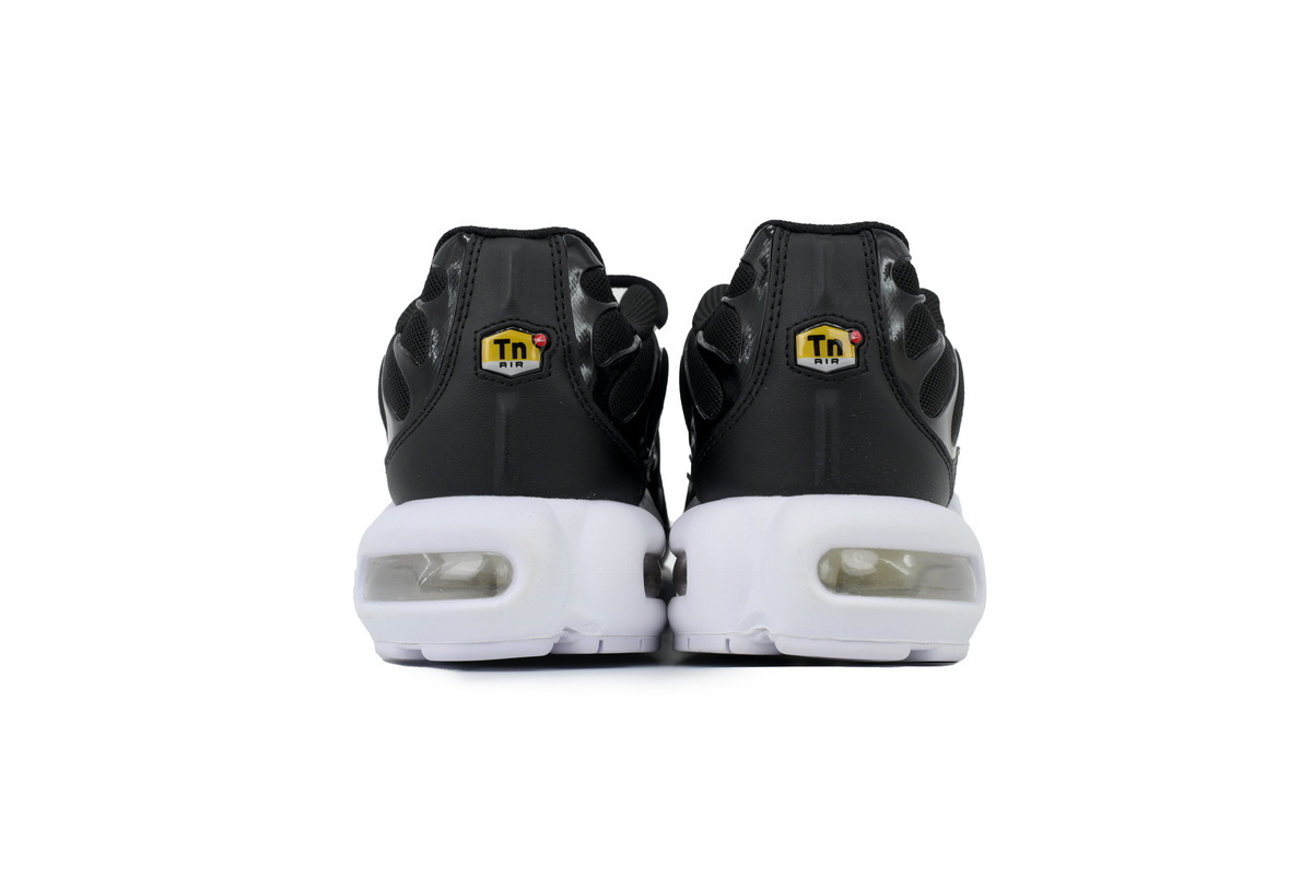 Nike Air Max Plus 'Black White' DM2362-001