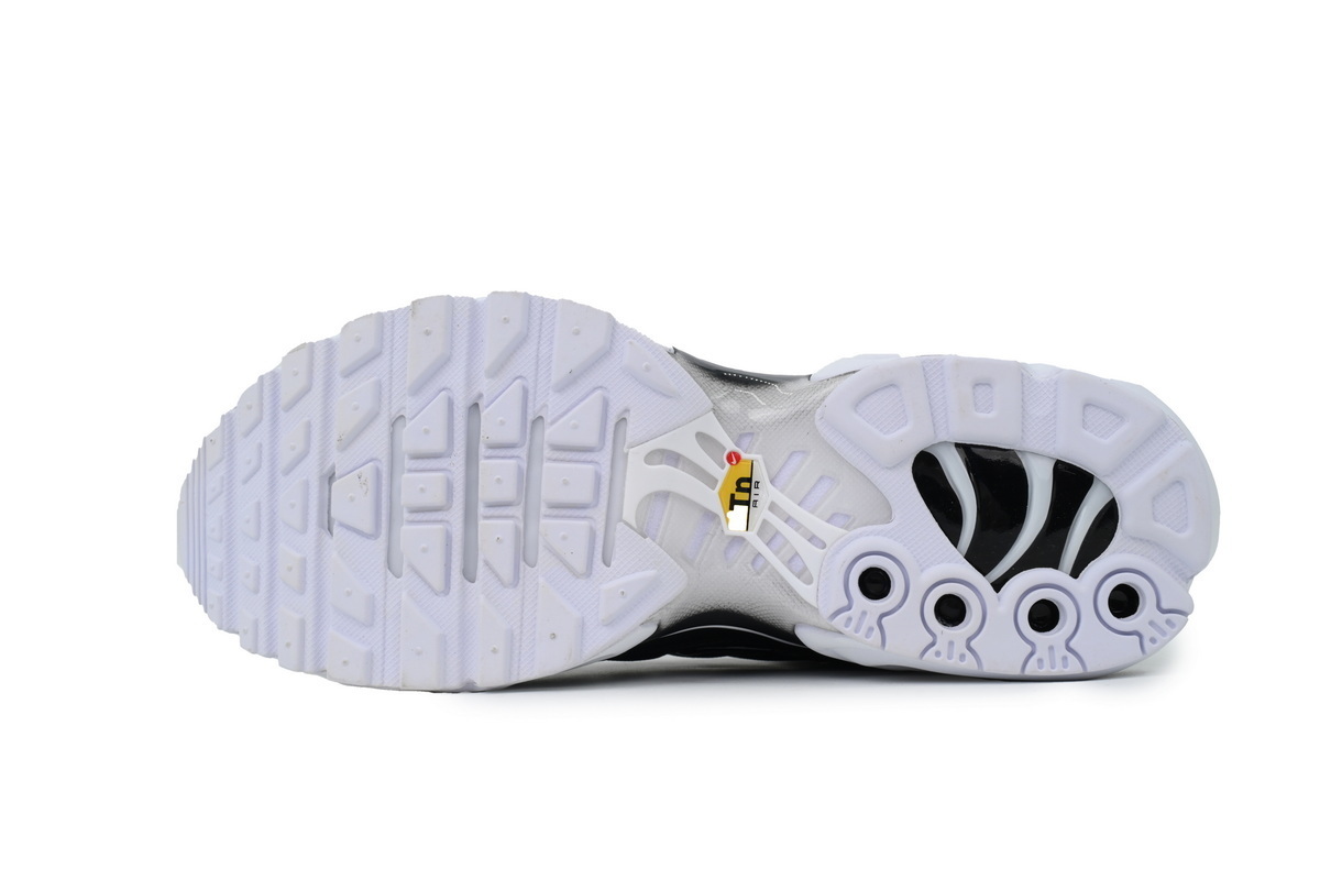 Nike Air Max Plus 'Black White' DM2362-001