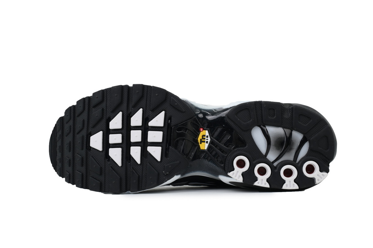 Nike Air Max Plus 'Black Metallic Silver' DM0032-003