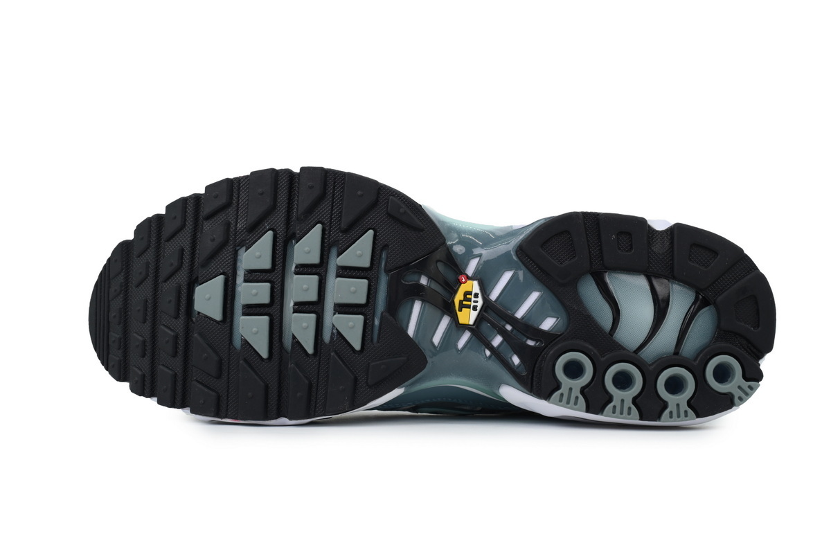 Nike Air Max Plus 'Palm Pack - Waterway' FV0394-300