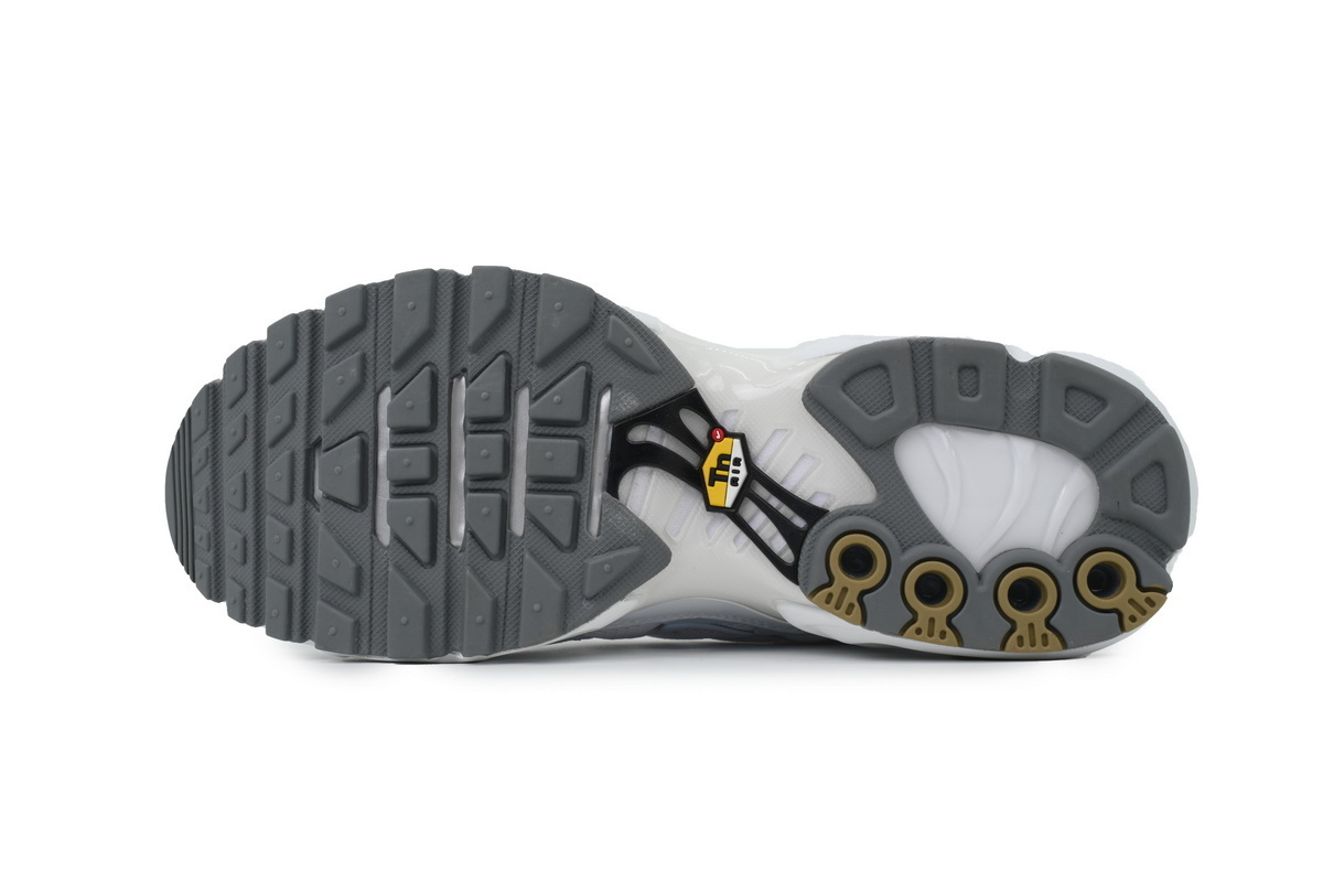 Nike Air Max Plus 'White' 604133-139