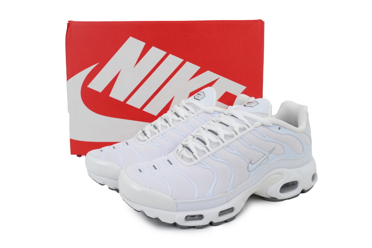Nike Air Max Plus 'White' 604133-139