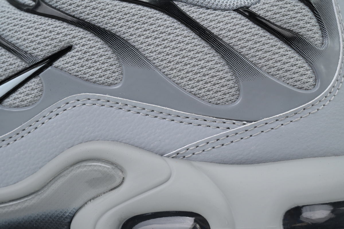 Nike Air Max Plus TN 'Wolf Grey' 852630-021