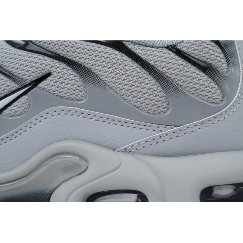 Nike Air Max Plus TN 'Wolf Grey' 852630-021