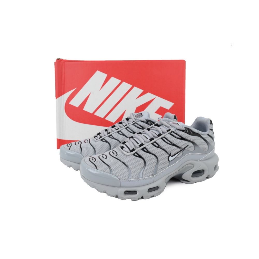 Nike Air Max Plus TN 'Wolf Grey' 852630-021
