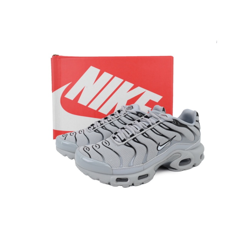 Nike Air Max Plus TN 'Wolf Grey' 852630-021