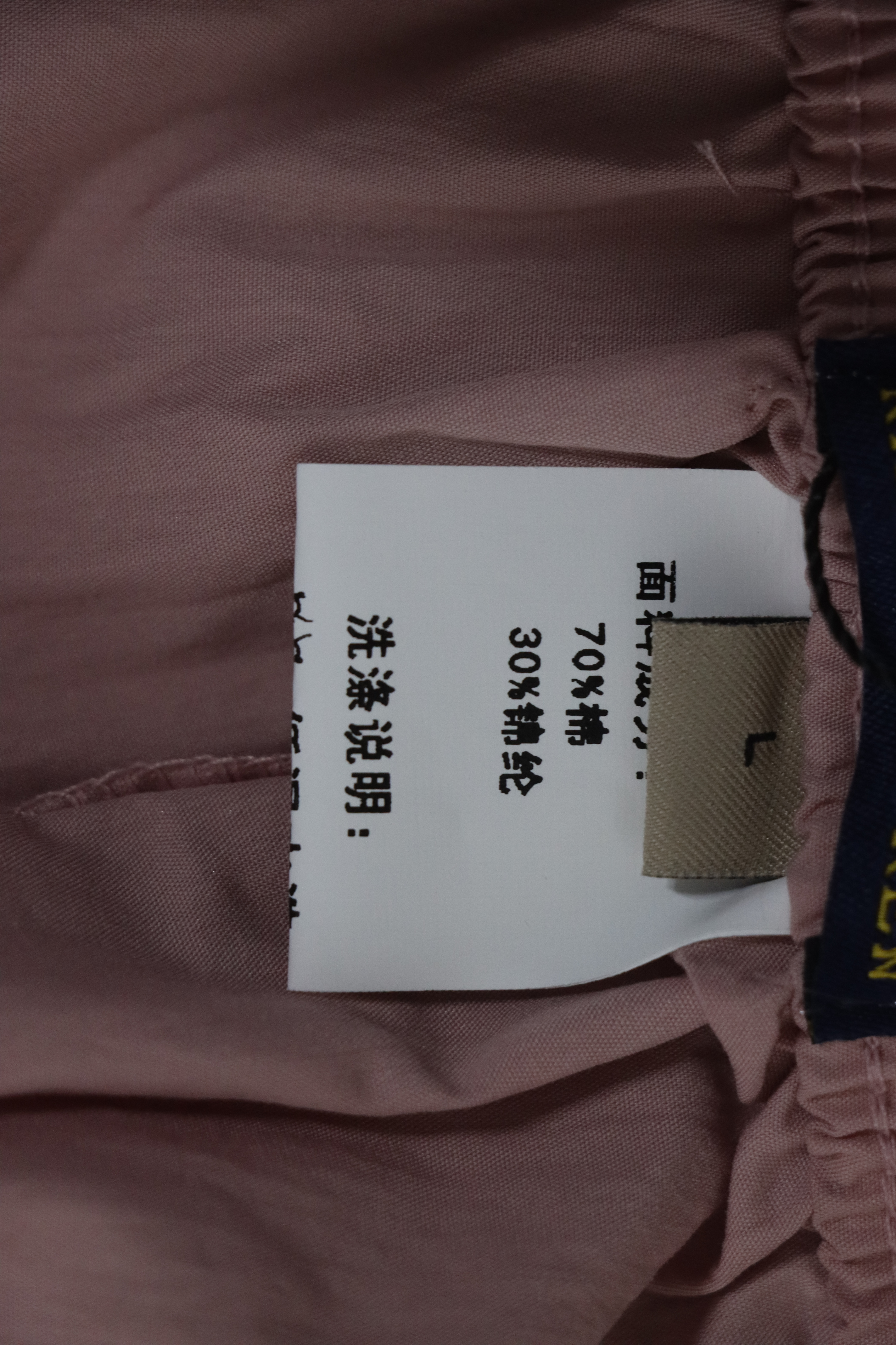 Ralph Lauren 24Fw Embroidered Small Logo Nylon Pants Pink