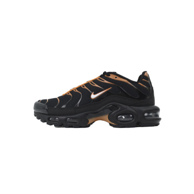 Nike Air Max Plus 'Dark Obsidian Monarch' FN6949-400 01
