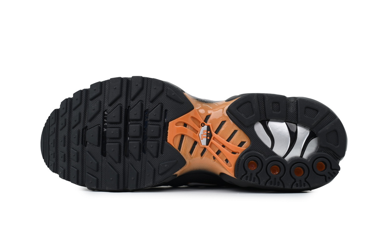 Nike Air Max Plus 'Dark Obsidian Monarch' FN6949-400