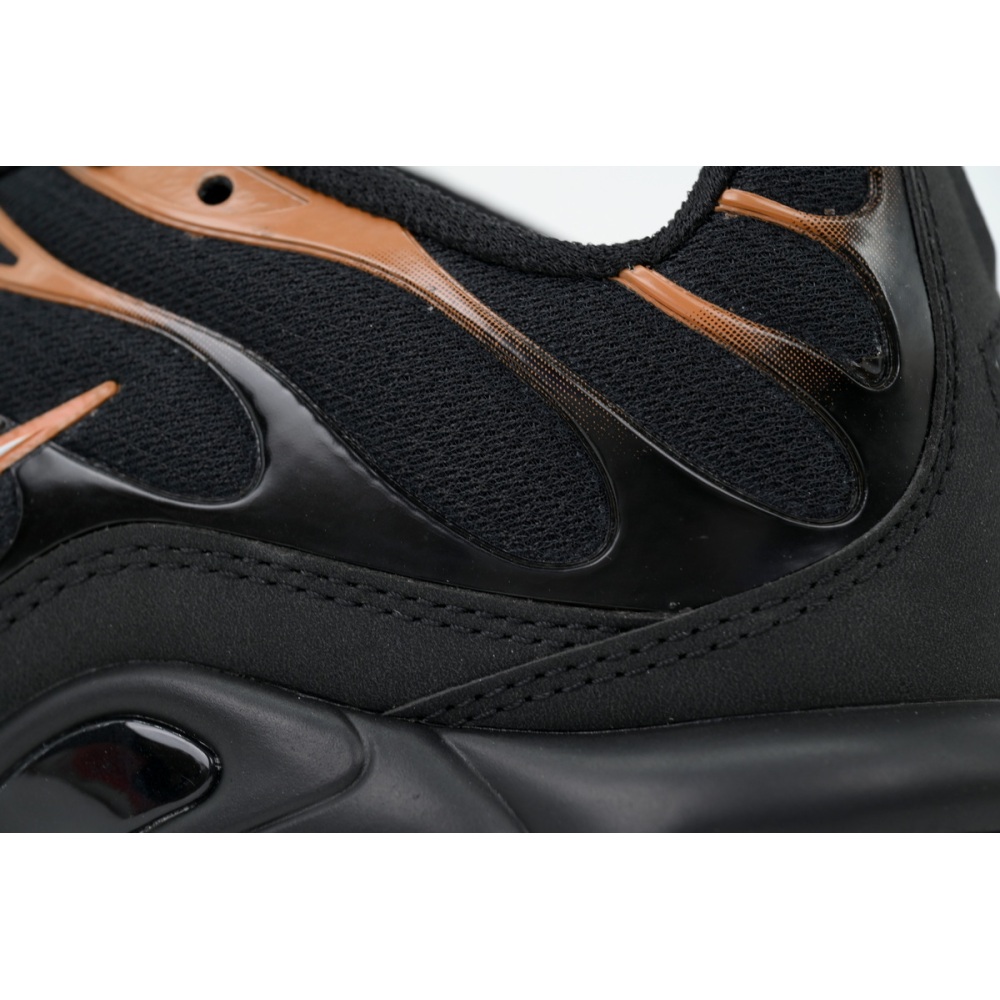 Nike Air Max Plus 'Dark Obsidian Monarch' FN6949-400