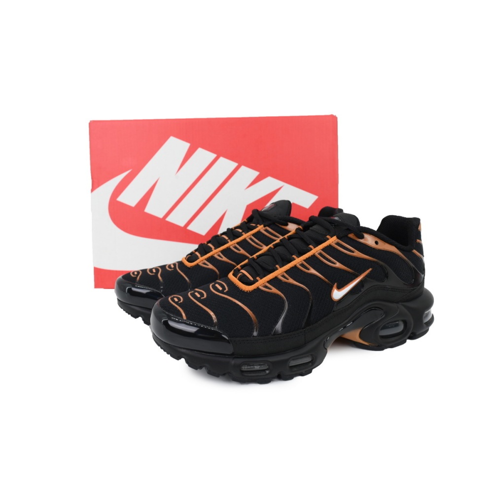 Nike Air Max Plus 'Dark Obsidian Monarch' FN6949-400