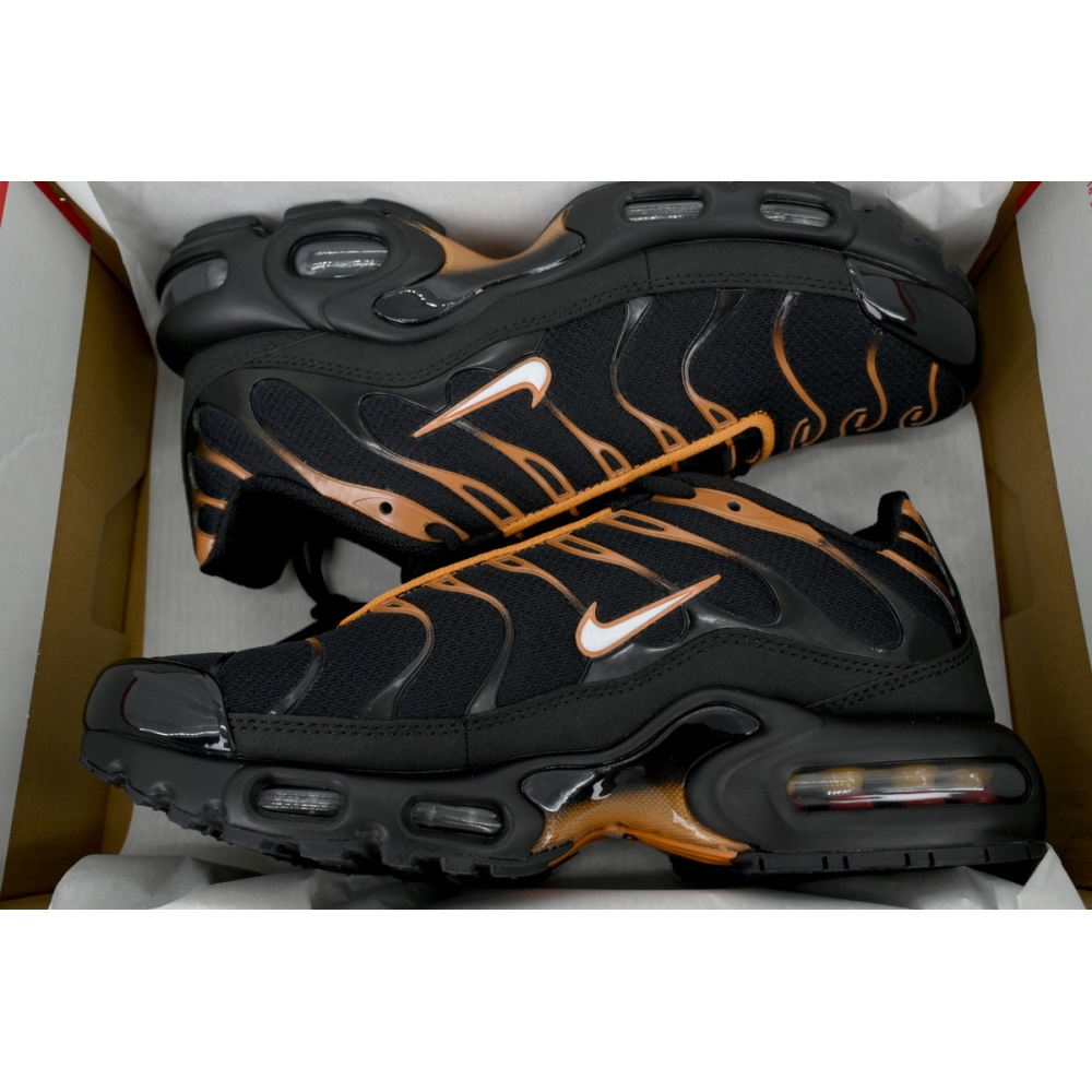 Nike Air Max Plus 'Dark Obsidian Monarch' FN6949-400