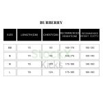 Burberry 25ss New Striped Shirt Brown