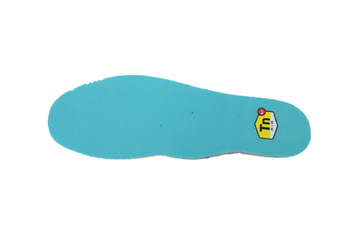 Nike Air Max Plus 'Aqua Silver' CV8838-400