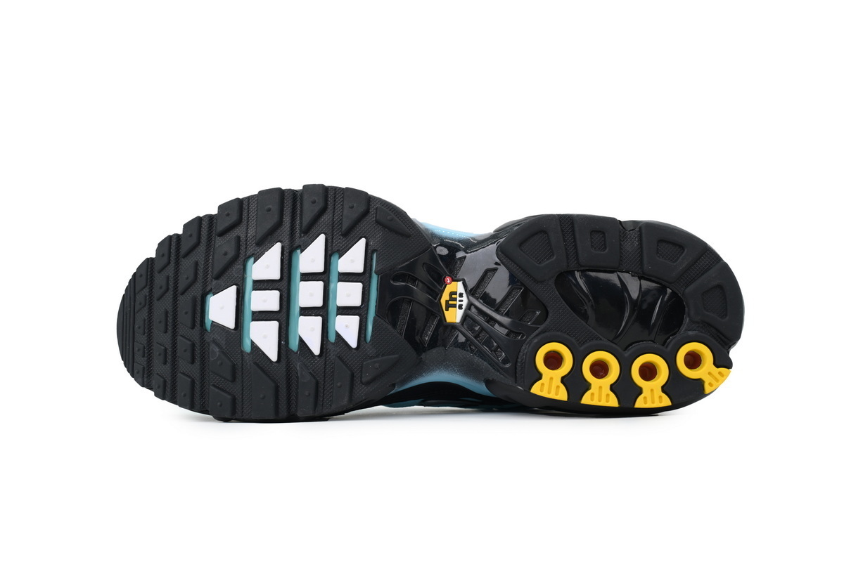 Nike Air Max Plus 'Aqua Silver' CV8838-400