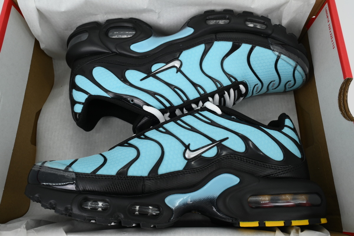 Nike Air Max Plus 'Aqua Silver' CV8838-400