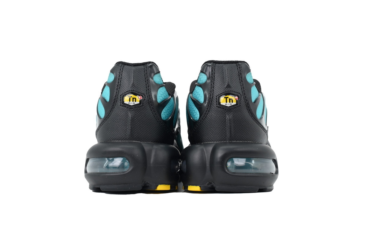 Nike Air Max Plus 'Black Dusty Cactus' DM0032-016