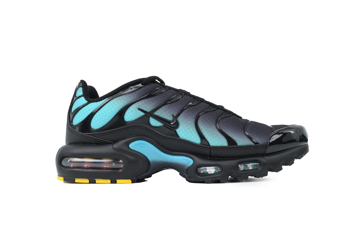 Nike Air Max Plus 'Black Dusty Cactus' DM0032-016