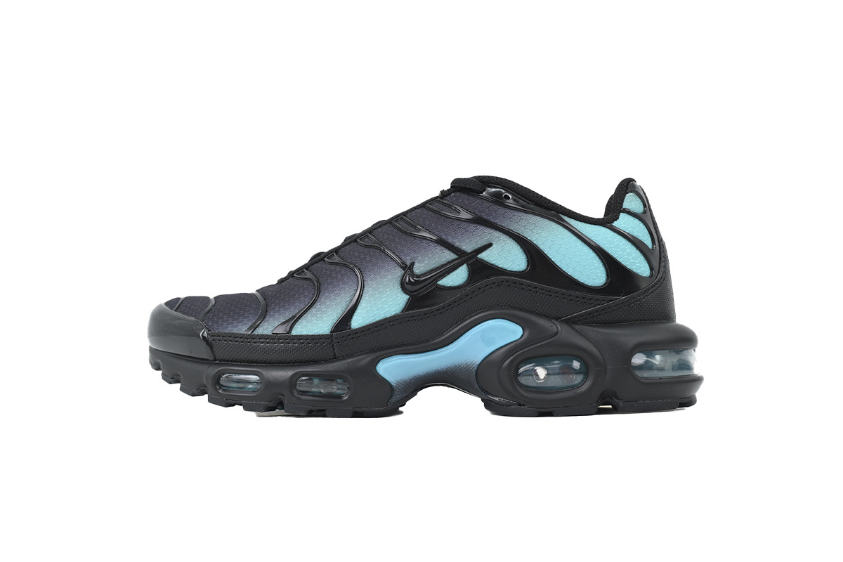 Nike Air Max Plus 'Black Dusty Cactus' DM0032-016