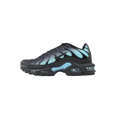 Nike Air Max Plus 'Black Dusty Cactus' DM0032-016 01