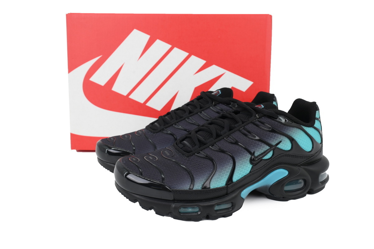 Nike Air Max Plus 'Black Dusty Cactus' DM0032-016