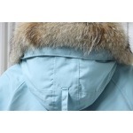 Canada Goose Chilliwack Bomber Jacket Short Down Jacket Sky Blue