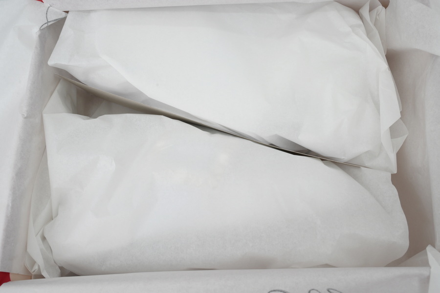 Roger Vivier White Silver Buckle