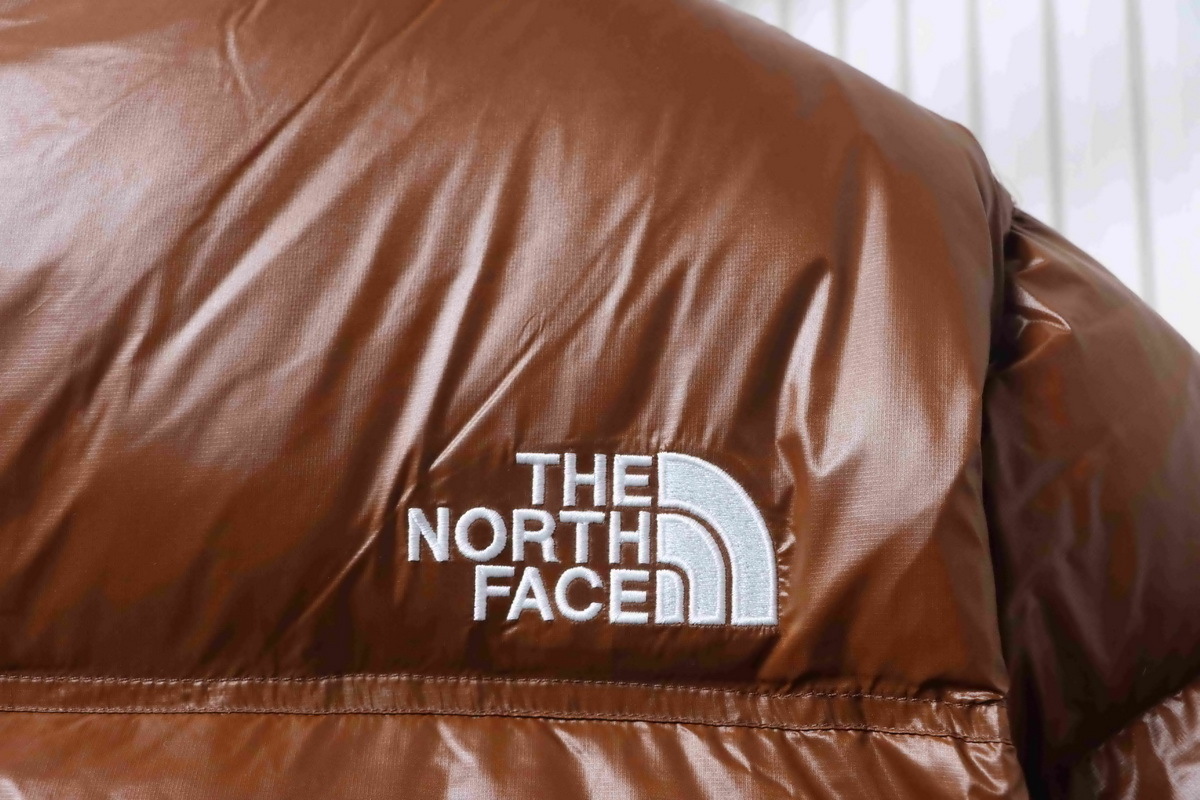The North Face Nuptse 700 Short Jacket ‘Brown‘