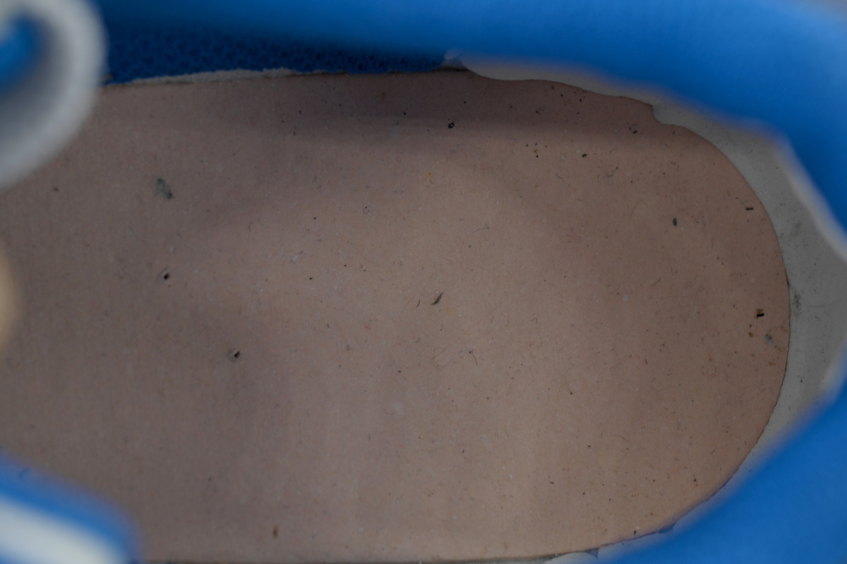 Alexander McQueen Sneaker Blue Tail