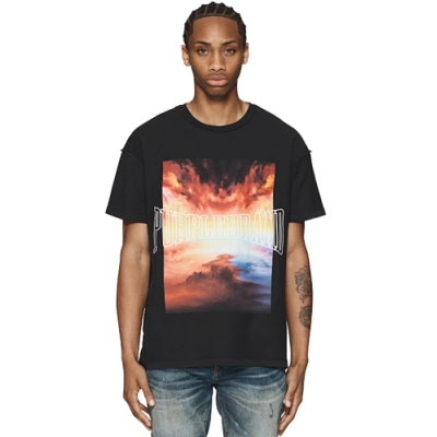 Purple Brand T-Shirt 3013 02