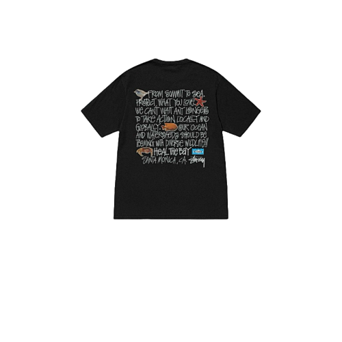 Stussy T-Shirt XB2014