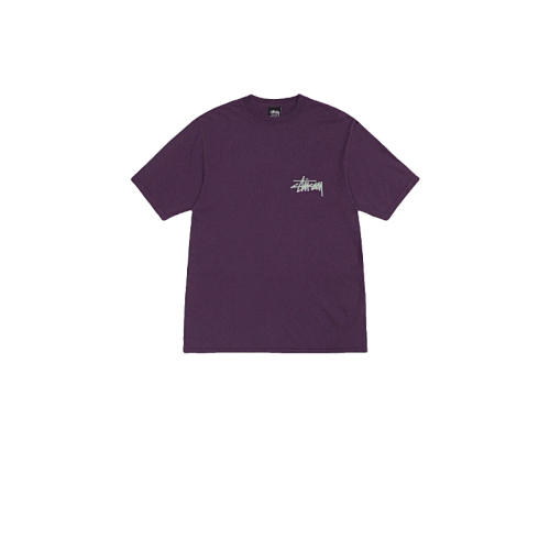 Stussy T-Shirt XB2021