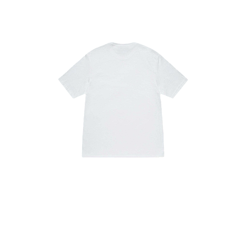 Stussy T-Shirt XB2025