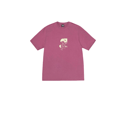 Stussy T-Shirt XB2025