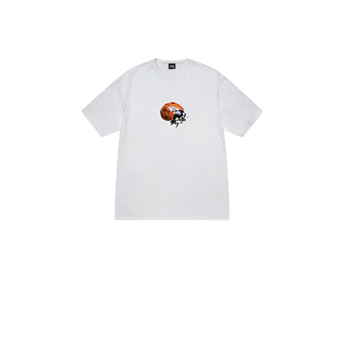 Stussy T-Shirt XB2030