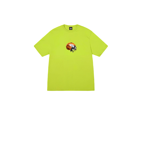 Stussy T-Shirt XB2030