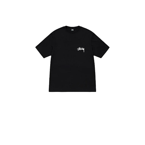 Stussy T-Shirt XB2035