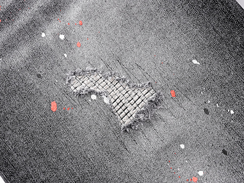 Purple Brand Denim Shorts PU521#