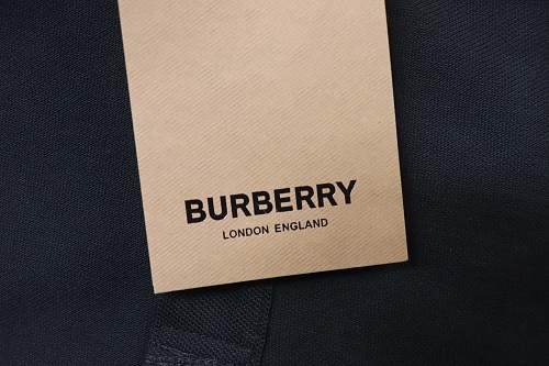 Burberry Classic Collared Equestrian Embroidered Short-Sleeve Polo Shirt