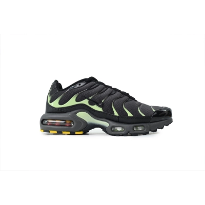 PK God Batch  Nike Air Max Plus Black Green DM0032-035 02