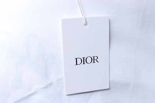 Dior 25ss Lily of the Valley Distressed T-Shirt