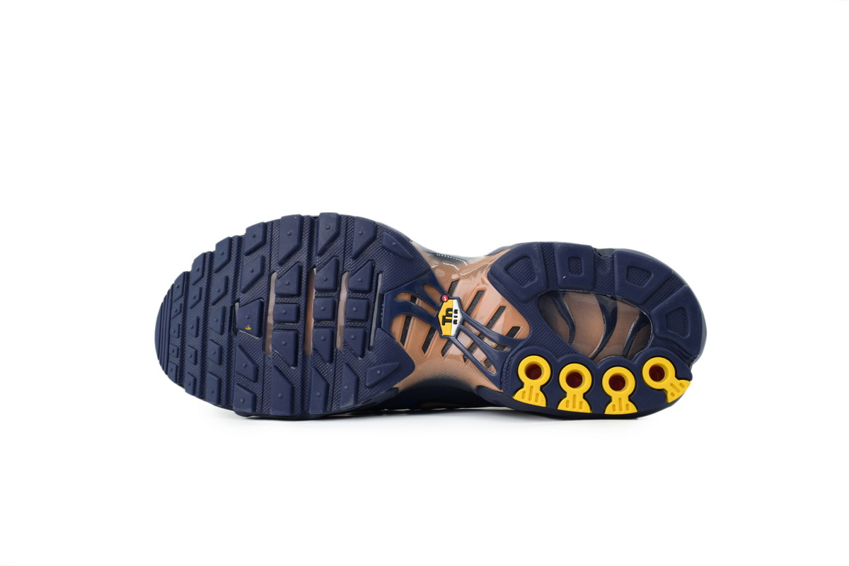 PK God Batch Nike Air Max Plus 'French Football Federation' IQ0170-400
