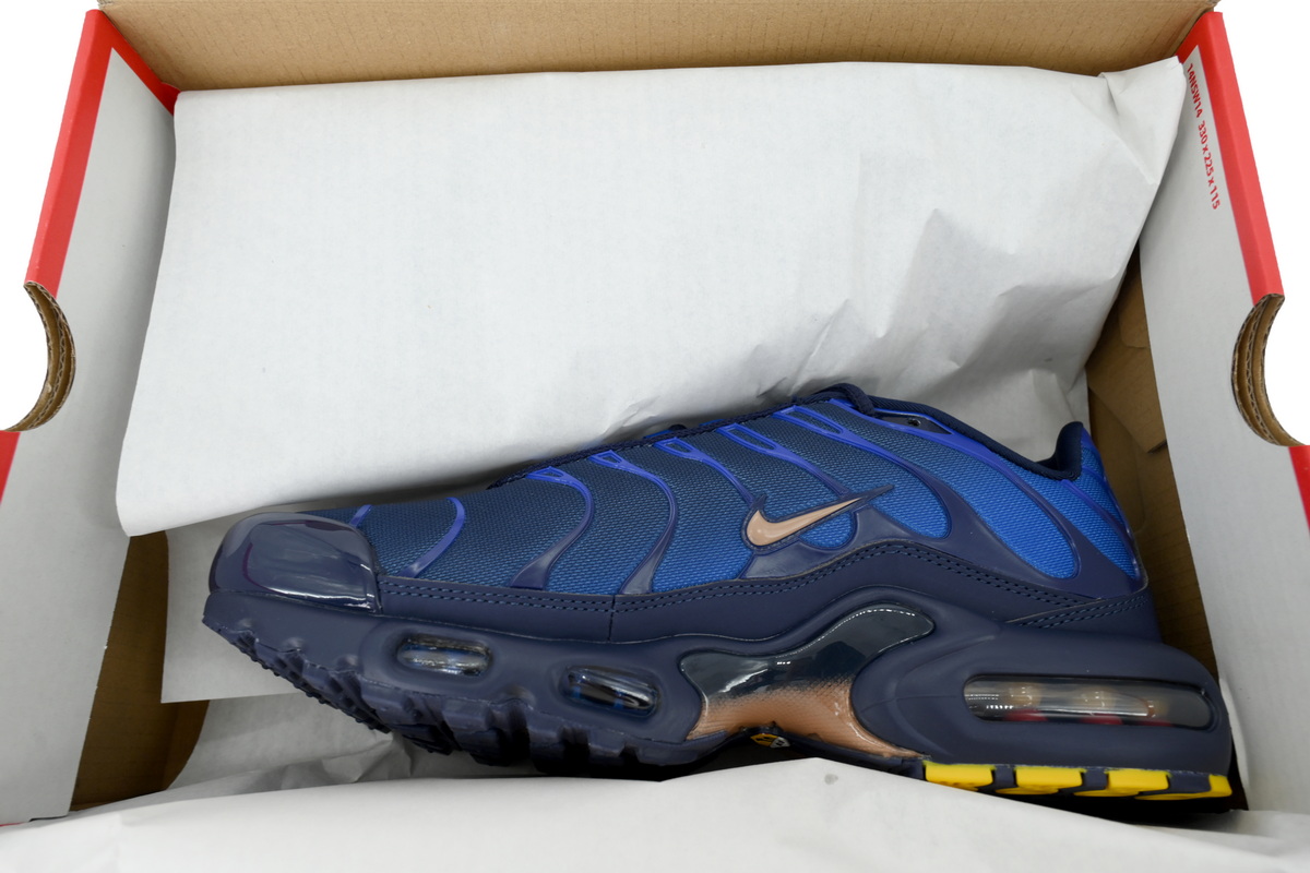 PK God Batch Nike Air Max Plus 'French Football Federation' IQ0170-400