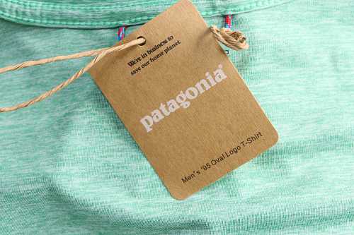 Patagonia C1 Mountain Peak Long Sleeve Green
