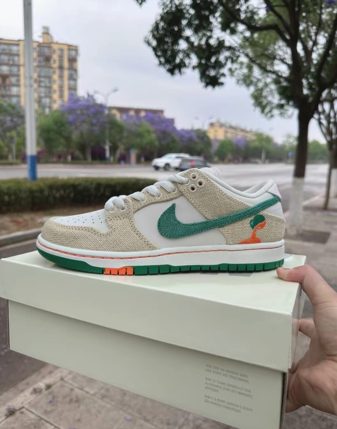 LJR Batch Nike SB Dunk Low Jarritos FD0860-001 review Diego Magana 02