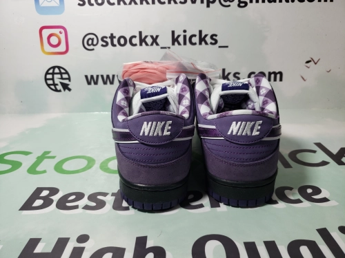 PK God Batch Nike SB Dunk Low Concepts Purple Lobster BV1310-555 review 